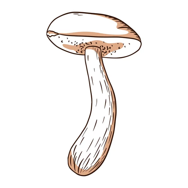 Forest Mushroom Illustration Linea Icona Boleto Logo Emblema Stampe Adesivi — Vettoriale Stock