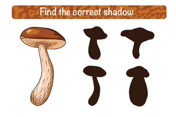 Найдите Учебную Игру Детей Correct Boletus Shadow Теневые Занятия Детей — стоковый вектор