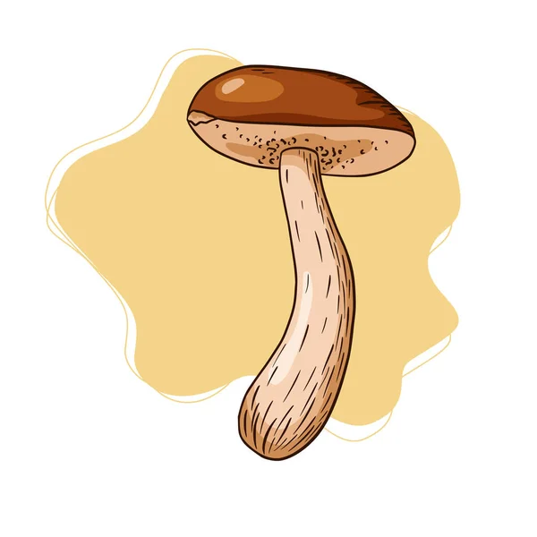 Boletus Abstract Background Illustration Schizzo Funghi Commestibili Line Art Logo — Vettoriale Stock