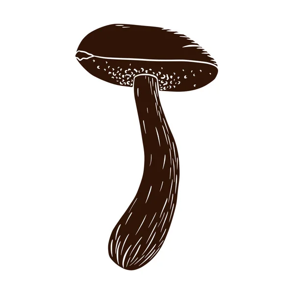 Boletus Silhouette Hand Drawn Edible Mushroom Icon Logo Emblem Prints — Stock Vector