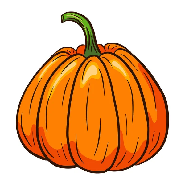 Cartoon Style Pumkin Illustration Autumn Food Icon Ripe Squash Sketch — Stock Vector