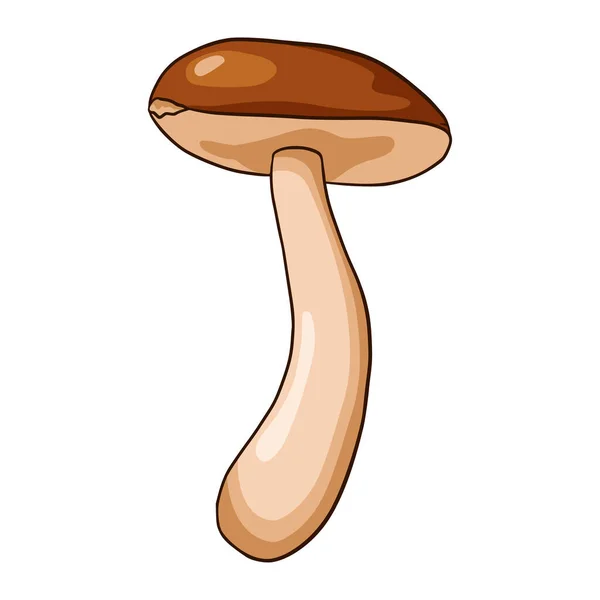 Ilustração Cogumelo Boletus Ícone Fungo Comestível Arte Linha Para Logotipo —  Vetores de Stock