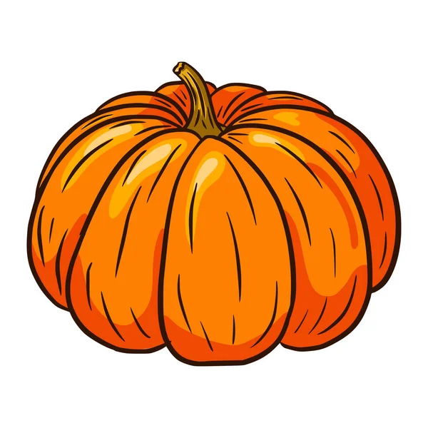 Winter Squash Illustratie Cartoon Stijl Herfst Kalebas Ikoen Rijp Pompoen — Stockvector