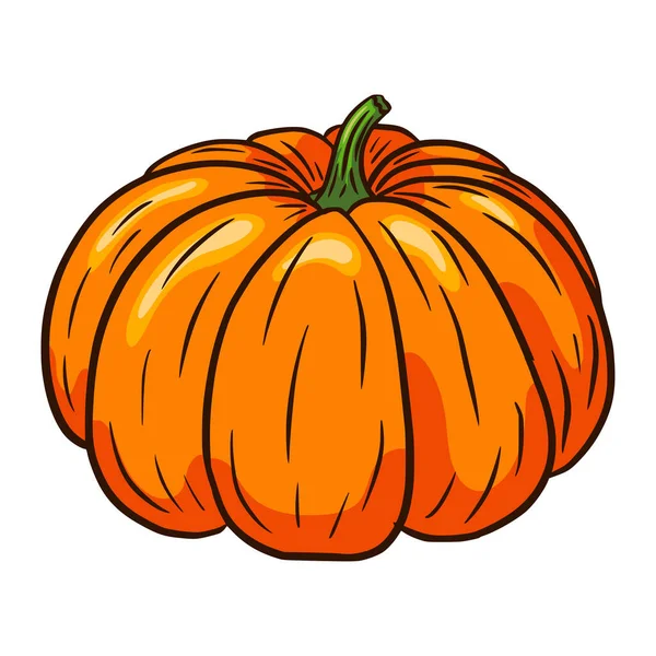 Fairytale Squash Illustration Autumn Gourd Icon Ripe Pumpkin Sketch Cartoon — Stock Vector