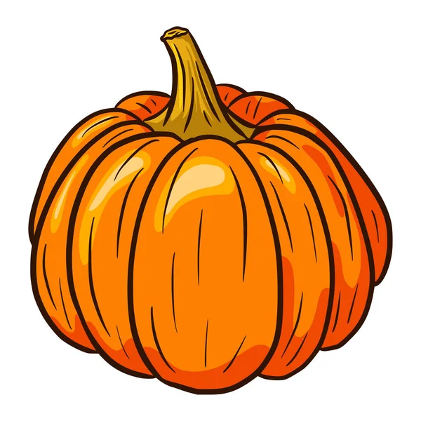 Narancs Pumkin Illusztráció Őszi Kaja Ikon Érett Squash Vázlat Elem — Stock Vector