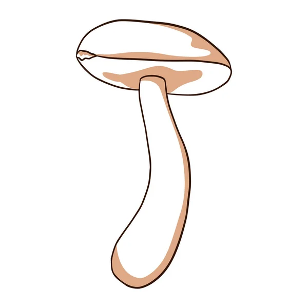 Illustration Champignons Comestibles Icône Bolet Art Ligne Pour Logo Emblème — Image vectorielle