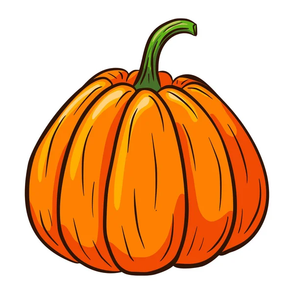 Juicy Pumpa Illustration Höstmatsikonen Mogen Squashskiss Element För Höst Dekorativ — Stock vektor