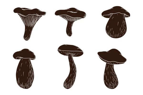 Forest Mushroom Silhouette Set Inglês Coleção Cogumelos Comestíveis Desenhados Mão —  Vetores de Stock