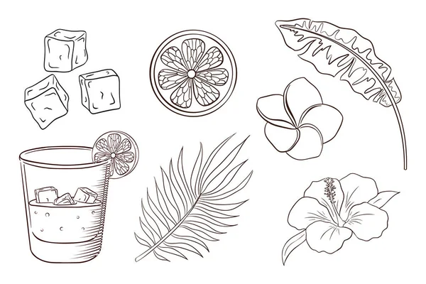 Коктейль Виски Сода Тропические Цветы Листья Набор Экзотических Растений Цветов — стоковый вектор