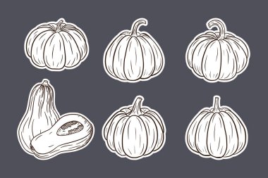 Balkabağı Çizimleri Çıkartma Seti. Parmak izi, davetiye, menü ve tebrik kartı tasarımı ve dekorasyonu için taze olgun balkabağı koleksiyonu. Premium Vektörü