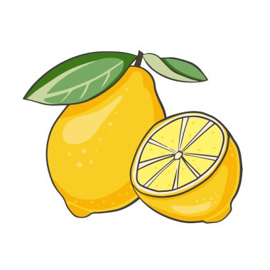 Olgun sulu limon. Koca bir turunçgil. Olgun meyvelerin vektör çizimi. Diyet ve vejetaryen yemekleri.