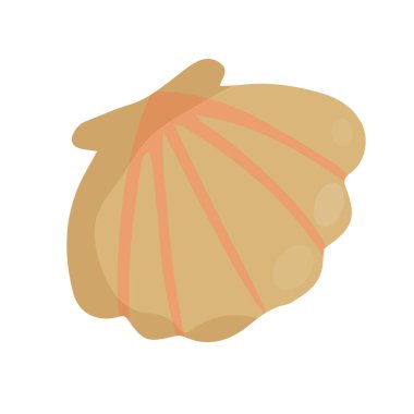 deniz kabuğu kabuğu. Düz vektör çizimi. Tasarımınız için element düz vektör çizimi. Tasarımınız için element.