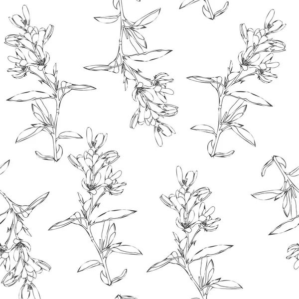 Бесшовный Узор Весенних Летних Цветов Ручной Рисунок Полевых Цветов Линейное — стоковый вектор