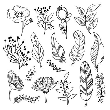 Vektör botanik seti. Bahar ve yaz bitkileri ve çiçekler. El yapımı kır çiçekleri ve yapraklı dallar. Tasarımın için elementler.