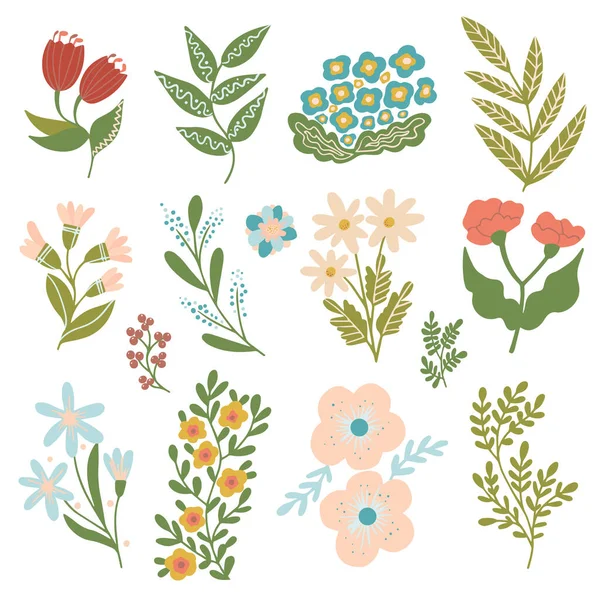 Vector Botanische Set Lente Zomer Kruiden Bloemen Met Hand Getekende — Stockvector