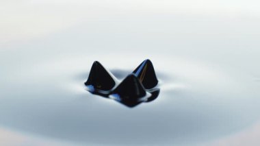 Manyetik kuvvetler şeklini değiştirirken titreşen Ferrofluid. Karanlık ve sanatsal. 4K çözünürlüğü. Ağır çekim. Yüksek kalite 4k görüntü