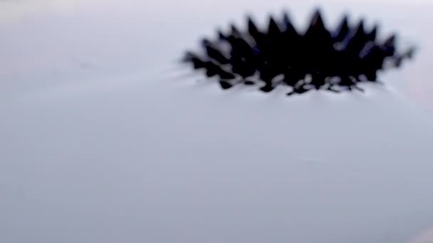 Pulzáló Ferrofluidot Mozgó Mágneses Erők Megváltoztatják Alakját Sötét Művészi Felbontás — Stock videók