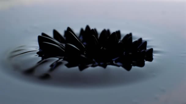 Pulsant Ferrofluid Déplaçant Que Les Forces Magnétiques Changent Forme Sombre — Video