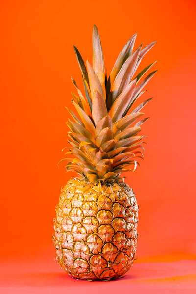 Color pop.Tropical summer background. Golden Pineapple on a orange background. Food concept. Minimal.