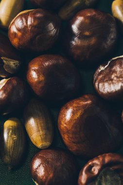 Huysuz bir sonbahar ortamında kestane ve meşe palamudu. Yüksek kalite fotoğraf