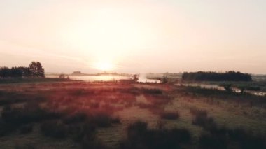 Hollanda 'nın kırsal kesiminin güneş doğarken sisli görüntüsü. Kuşlarla su ve hendekler. Yüksek kaliteli FullHD görüntüler