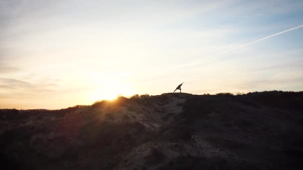 Силуэт Женщины Практикующей Йогу Дюнах Рассвете Беспилотник Воздушный — стоковое видео