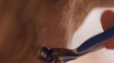 Sabahları tıraş olurken jiletle yakın çekim. Makro atış. Sakal ve boğaz.. 