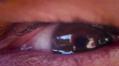 Yavaş çekimde göz kırpma ve 4K çözünürlükte aşırı yakın çekim