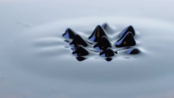 Ferrofluido Pulsante Movimiento Medida Que Las Fuerzas Magnéticas Cambian Forma — Vídeos de Stock