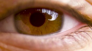 4K 'deki bir çocuğun kahverengi gözünün uç makro görüntüsü.