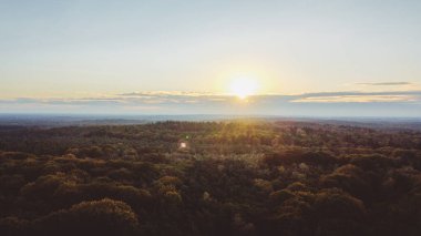 Sonbahar renklerinde bir ormanın üzerinde gün doğumu. Hollanda, Utrechtste heuvelrug. Yüksek kalite fotoğraf
