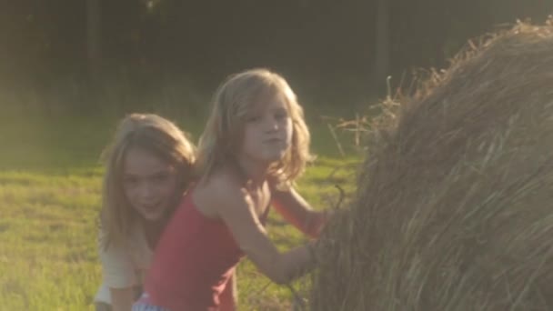 两个女孩在夏日的阳光下玩干草.无忧无虑的夏天. — 图库视频影像