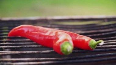 Kırmızı biber açık hava bahçesinde barbeküye konuyor..