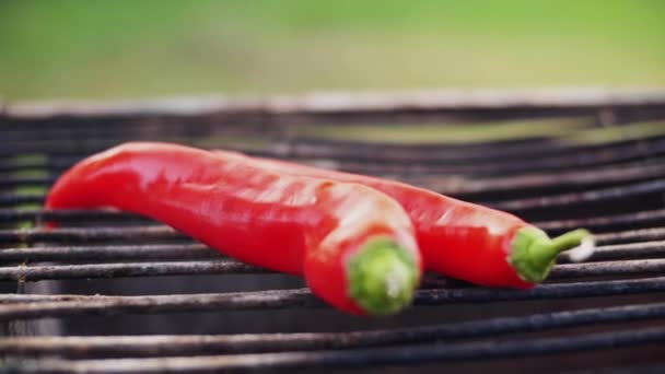 Rode peper wordt op een barbecue gezet in de tuin. — Stockvideo
