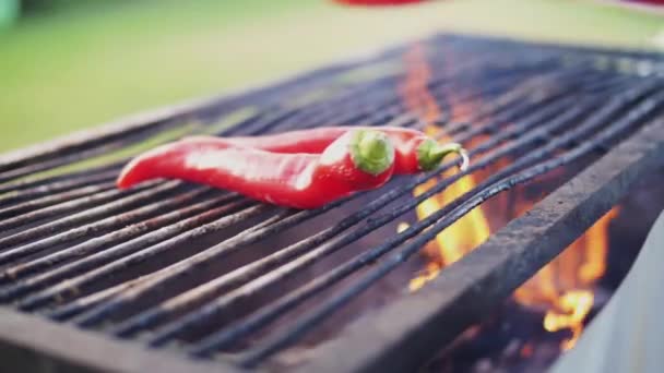 Pimenta vermelha sendo colocada em um churrasco em um cenário de jardim ao ar livre. — Vídeo de Stock