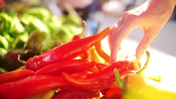 Il rallentatore ha sparato a una mano femminile raccogliendo un peperone rosso da un mercato agricolo locale. — Video Stock