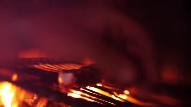 Fleisch wird auf einem großen Grill mit Feuer gebraten. — Stockvideo