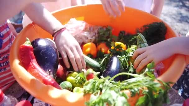 Mani di bambino che raccolgono verdure per un laboratorio di cucina all'aperto al sole estivo. Cesto pieno di verdure fresche. — Video Stock