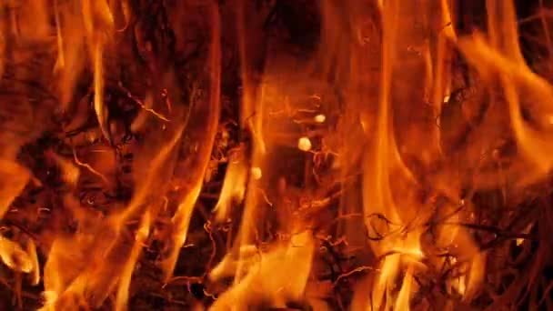 Holz in 180 fps Zeitlupe verbrennen. Inferno. Flammen aus Holzspänen. — Stockvideo