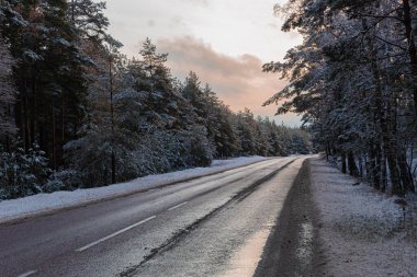 Kar kaplı ağaç gövdeleri ile sabah sisinde soğuk kış ormanı. Karla kaplı orman yolu. Güneşin doğuşundaki güzel kış manzarası. Ağaç yaprakları yol boyunca buzullar ve güneş ışığı altında