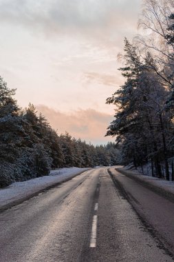 Kar kaplı ağaç gövdeleri ile sabah sisinde soğuk kış ormanı. Karla kaplı orman yolu. Güneşin doğuşundaki güzel kış manzarası. Ağaç yaprakları yol boyunca buzullar ve güneş ışığı altında