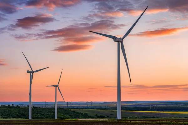 Beau coucher de soleil au-dessus des moulins à vent sur le terrain — Photo