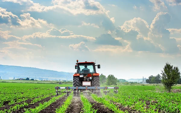 Campo de cultivo de tratores na primavera. — Fotografia de Stock