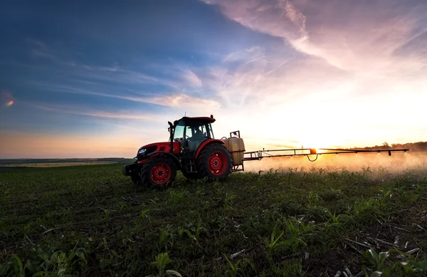 Traktor besprutning ett fält på gården under våren, jordbruk — Stockfoto