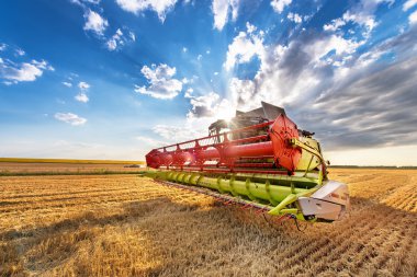 Dobrich, Bulgaristan - 08 Temmuz 2016: Claas Lexion 660 Birleştir 