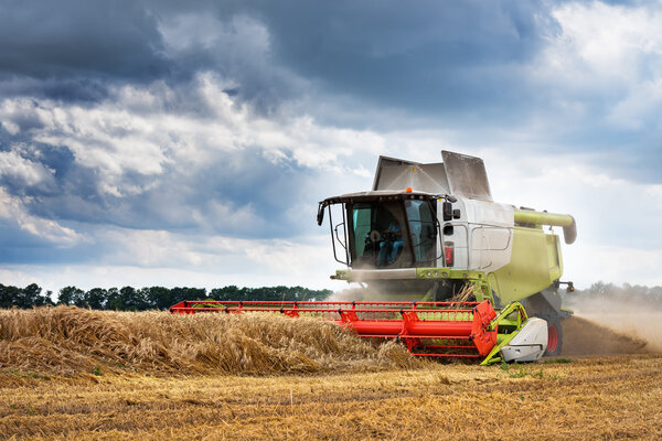 Рабочий комбайн на пшеничном поле.