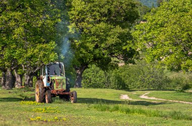 Eski traktör çimlerin üzerinde.