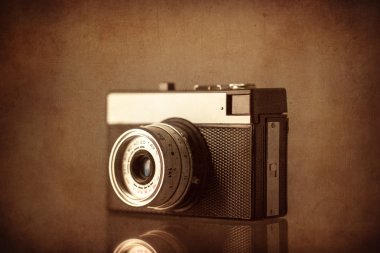 Kırmızı Daisy Gerbera Çiçeği beyaz üzerine.