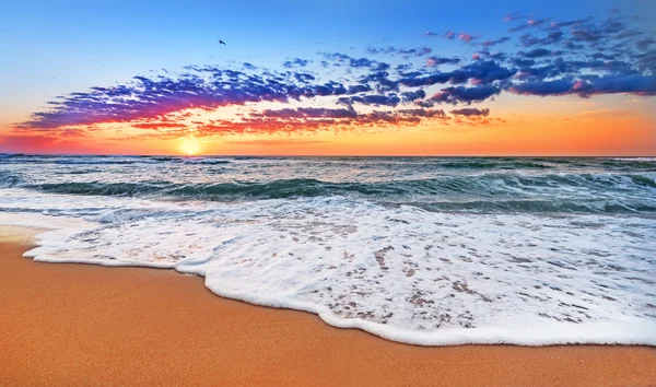 Kleurrijke oceaan strand zonsopgang. — Stockfoto