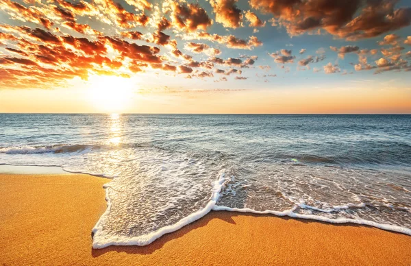 Brilliant ocean beach sunrise. — Stock Photo, Image
